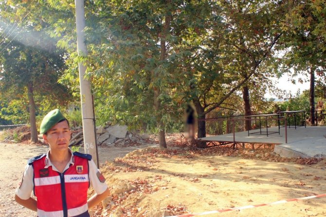 Картинки по запросу Andrei Ogorodnikov