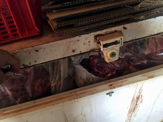 Aydın’da 5 Ton Kaçak Domuz ETİ Ele Geçirildi