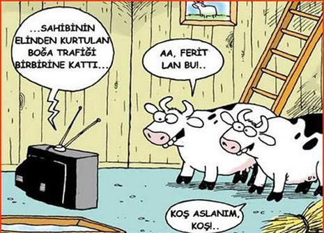 Kurbanlık karikatürler güldürüyor galerisi resim 1