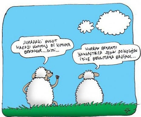 Kurbanlık karikatürler güldürüyor galerisi resim 13
