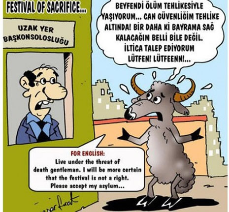 Kurbanlık karikatürler güldürüyor galerisi resim 15