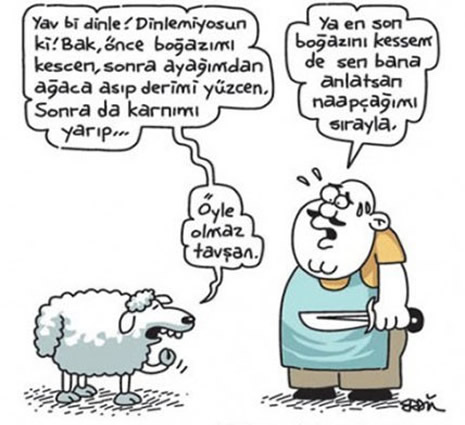 Kurbanlık karikatürler güldürüyor galerisi resim 16