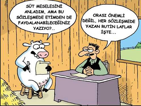Kurbanlık karikatürler güldürüyor galerisi resim 20