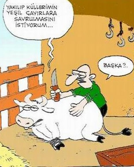 Kurbanlık karikatürler güldürüyor galerisi resim 22