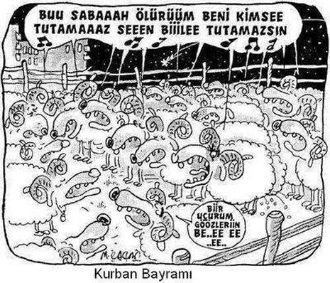 Kurbanlık karikatürler güldürüyor galerisi resim 5