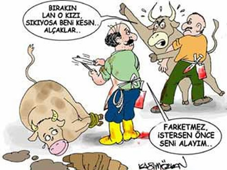 Kurbanlık karikatürler güldürüyor galerisi resim 8