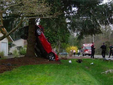 Daha önce böylesini görmediniz galerisi resim 16