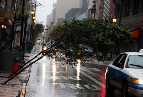 Sandy Kasırgası ABD'yi fena vurdu  galerisi resim 6