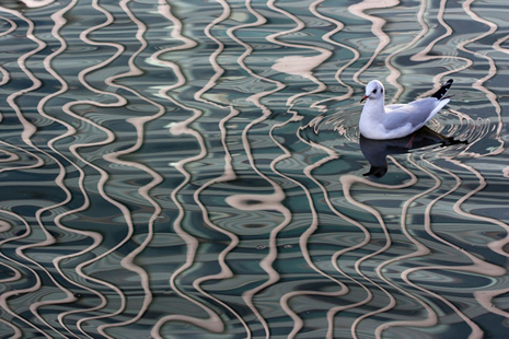 2012'nin en iyi doğa fotoğrafları galerisi resim 4