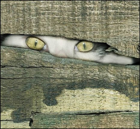 Gülermisin,  ağlarmısın dedirten fotoğraflar.. galerisi resim 10