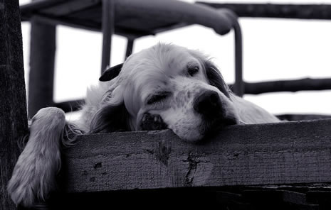Gülermisin,  ağlarmısın dedirten fotoğraflar.. galerisi resim 16