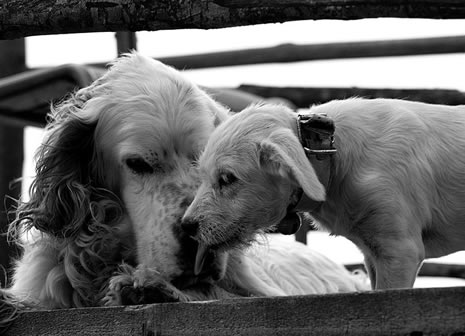 Gülermisin,  ağlarmısın dedirten fotoğraflar.. galerisi resim 3