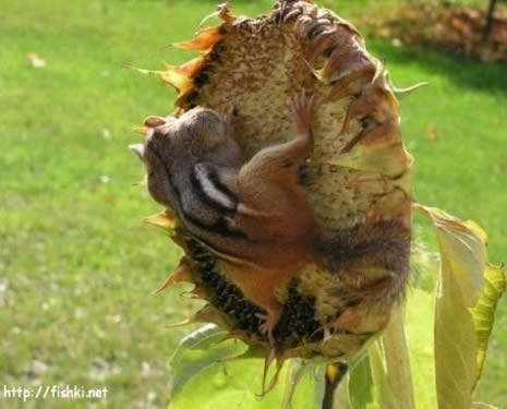 Gülermisin,  ağlarmısın dedirten fotoğraflar.. galerisi resim 9