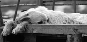 Gülermisin,  ağlarmısın dedirten fotoğraflar..