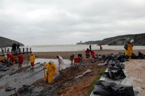 Kilyos'ta biyolojik kirlilik 20 yıl sürecek  galerisi resim 8
