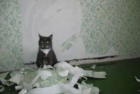 Siz evde yokken galerisi resim 3