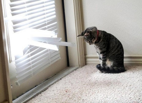 Siz evde yokken galerisi resim 4