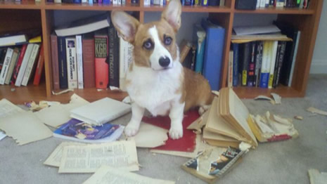 Siz evde yokken galerisi resim 5