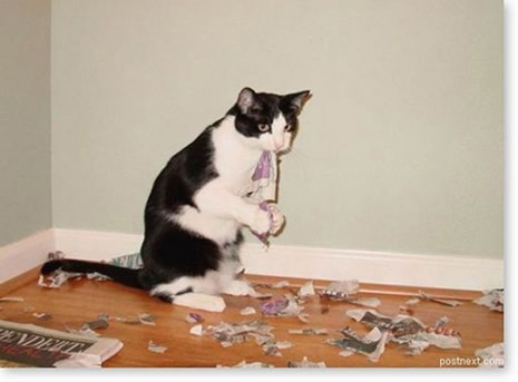 Siz evde yokken galerisi resim 6