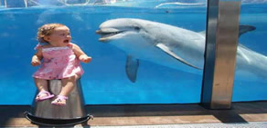 En eğlenceli fotoğraflar