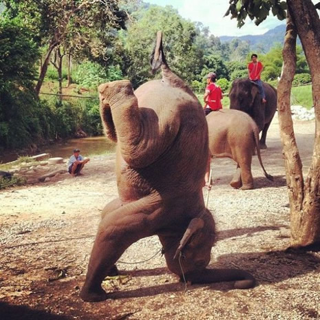 Bir terslik var galerisi resim 12