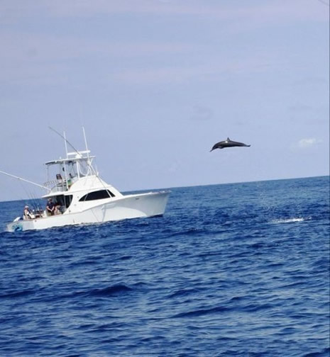 Bir terslik var galerisi resim 13