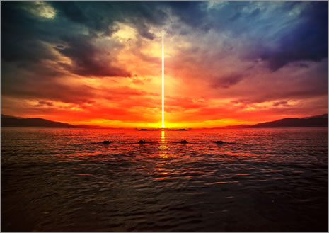 21 Aralık karikatürleri koparıyor galerisi resim 17