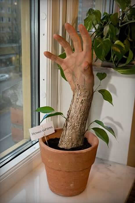 Manipülasyon Sanatı galerisi resim 8