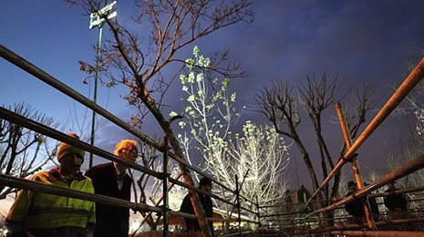 Herkesin gözü önünde astılar galerisi resim 2