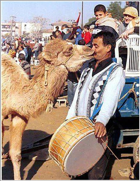 İlginç ve güldüren görüntüler galerisi resim 16