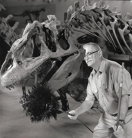 Dünyanın en ilginç meslekleri galerisi resim 10