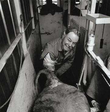 Dünyanın en ilginç meslekleri galerisi resim 11