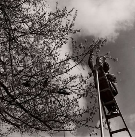 Dünyanın en ilginç meslekleri galerisi resim 4