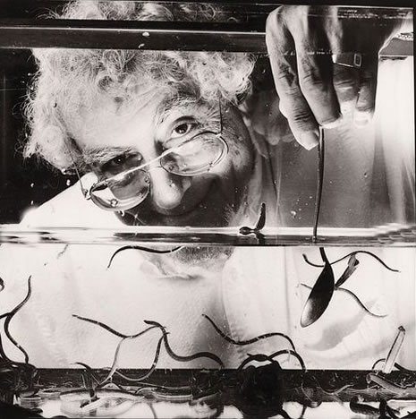 Dünyanın en ilginç meslekleri galerisi resim 6