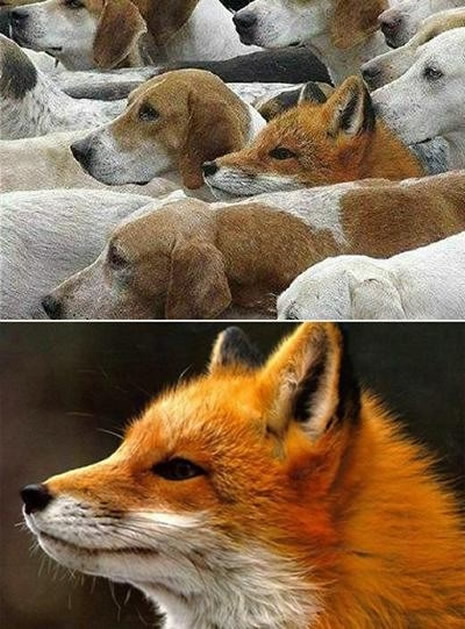 Photoshop sansasyonu böyle yanıltmışlar galerisi resim 6