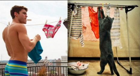 Kediler mi modeller mi? galerisi resim 5