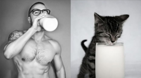 Kediler mi modeller mi? galerisi resim 9