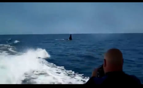 Katil, sudan füze gibi fırladı galerisi resim 1