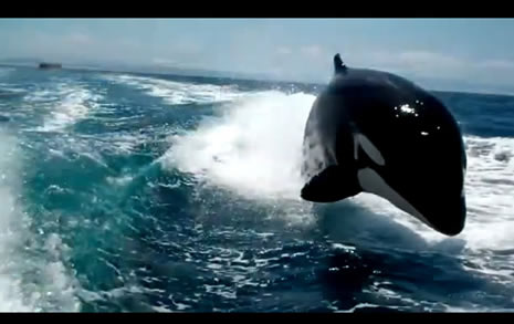 Katil, sudan füze gibi fırladı galerisi resim 3