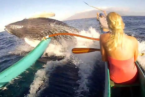 Katil, sudan füze gibi fırladı galerisi resim 6