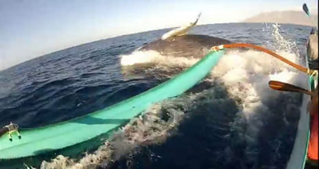 Katil, sudan füze gibi fırladı galerisi resim 7