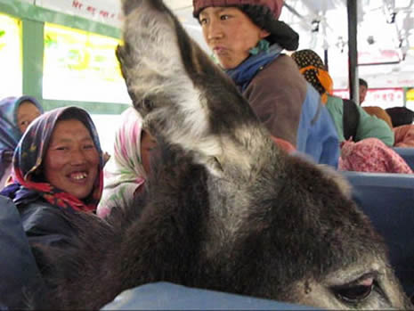 "Toplu taşıma" gariplikleri! galerisi resim 10