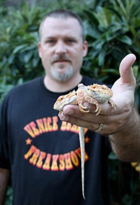 Çift başlı doğan hayvanlar galerisi resim 2