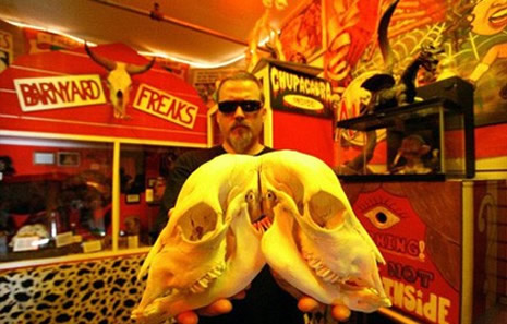 Çift başlı doğan hayvanlar galerisi resim 5