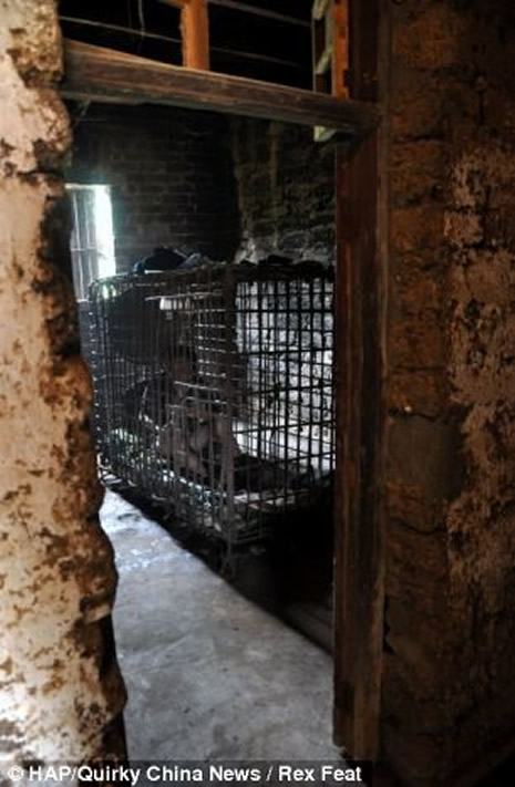 11 yıldır kafeste yaşıyor  galerisi resim 6