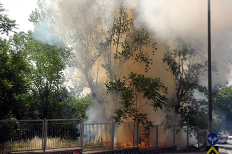 Taksim'den dünyaya paylaşılan kareler  galerisi resim 23