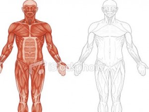 Vücudumuzdan 15 muhteşem görüntü