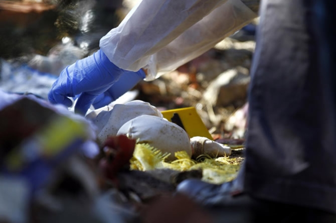 Akıl almaz zulüm galerisi resim 7