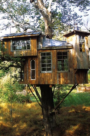İlginç ağaç evler galerisi resim 2