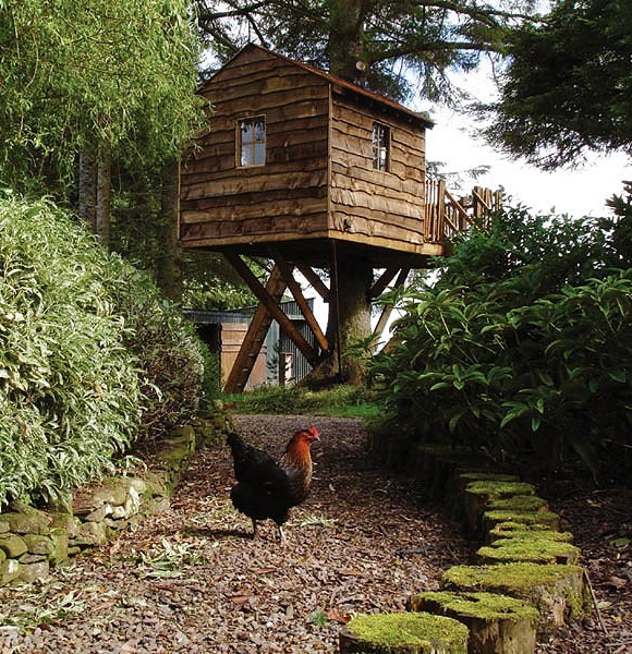 İlginç ağaç evler galerisi resim 8